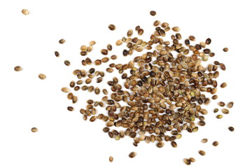 hemp seeds isolated on white background, top view