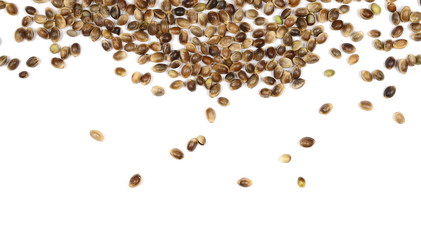 hemp seeds isolated on white background, top view