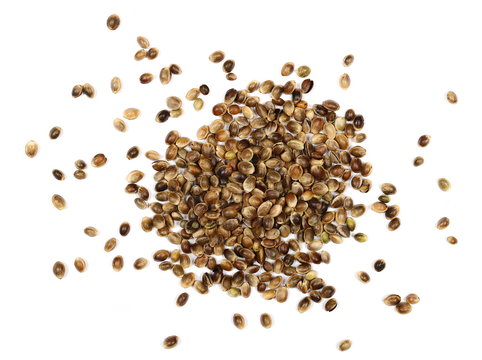 Hemp Seeds Isolated On White Background, Top View