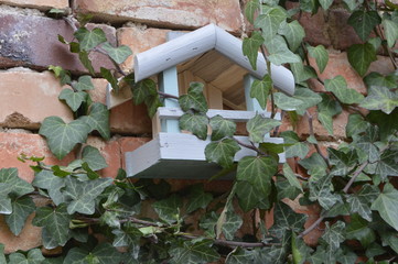 Decorative bird feeder hung on old brick wall, among ivy