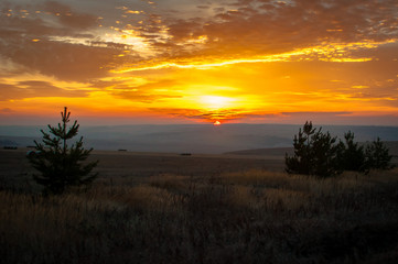 Obraz premium Beautiful sunset in the field