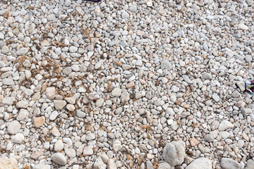 shore with stones