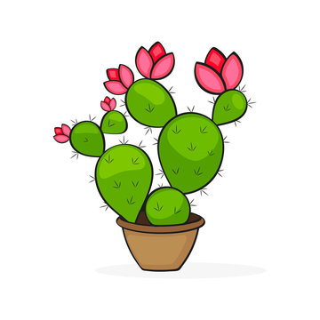 Mexican cactus icon