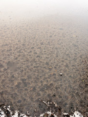 frozen over lake water surface outside winter december
