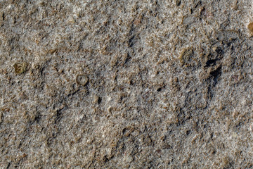 Texture of stone