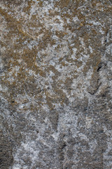 Texture of stone