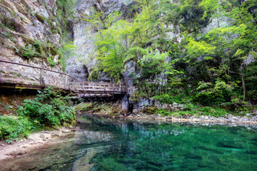 Obraz na płótnie Canvas Vintgar Gorge Slovenia