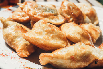 Fried dumplings on white plate, close up