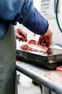 fishermen-3