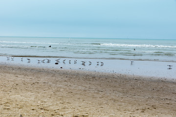 Rimini beach in winter
