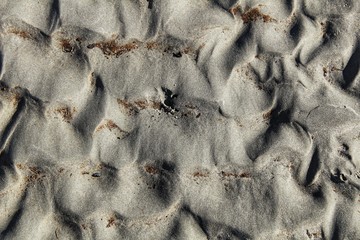 Textures on the beach sand