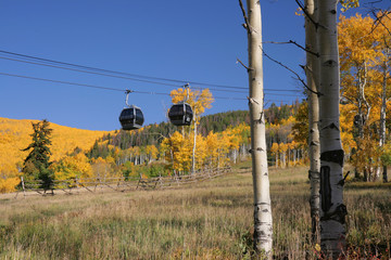 Gondola with Amazing Fall color