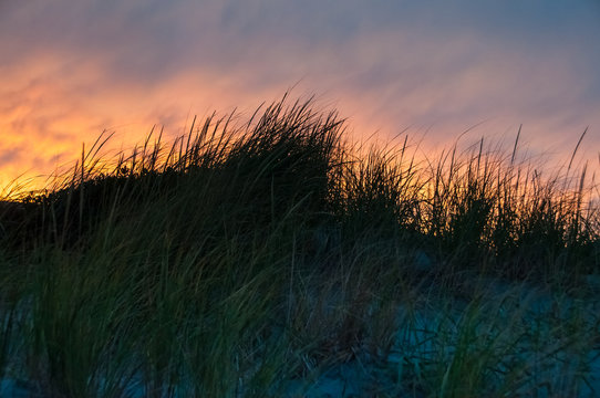 Desolate Beach Grass At Sunset