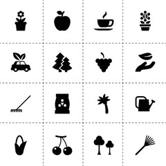 Leaf icons. vector collection filled leaf icons