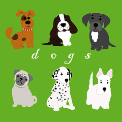 Fototapeta premium Dogs of different breeds
