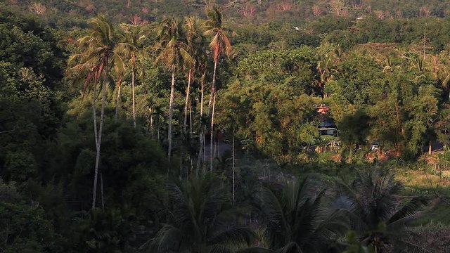 Tropical Rainforest Jungle view. Green inferno, Sanye, Hainan Island, China.