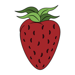 Strawberry sweet fruit icon vector illustration graphic design