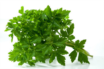 Fresh parsley is isolated on a white background.