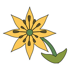 Beautiful flower bouquet icon vector illustration graphic design