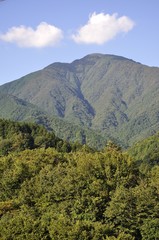 Obraz premium 青根から眺める大室山