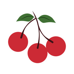 Sweet cherries fruits icon vector illustration graphic design