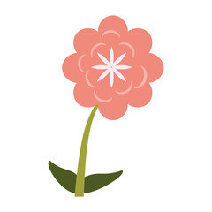 Beautiful flower bouquet icon vector illustration graphic design