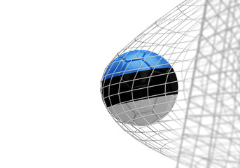 Estonia flag soccer ball scores a goal in a net