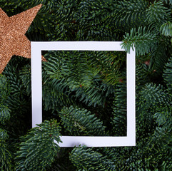 Christmas background with fresh evergreen tree banches, with frame and star