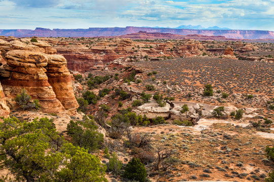 I created these intriguing images while on the Slickrock Trail i the Needles District of the Canyon Lands National Park in Utah.