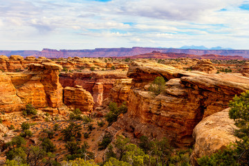 I created these intriguing images while on the Slickrock Trail i the Needles District of the Canyon Lands National Park in Utah. © tiva48
