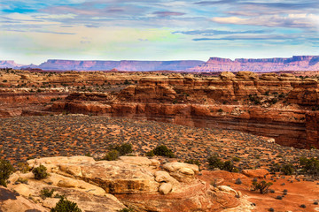 I created these intriguing images while on the Slickrock Trail i the Needles District of the Canyon Lands National Park in Utah. © tiva48