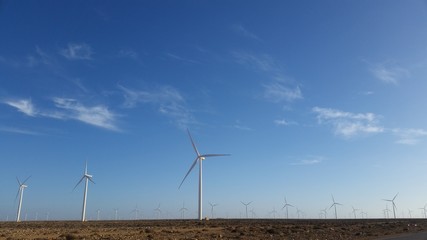 Champ des Eoliens au sud du Maroc. Un renouvelable et durable.