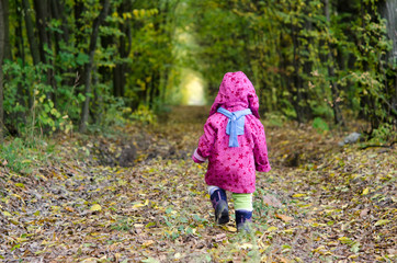The child is walking in the autumn forest. View from the back