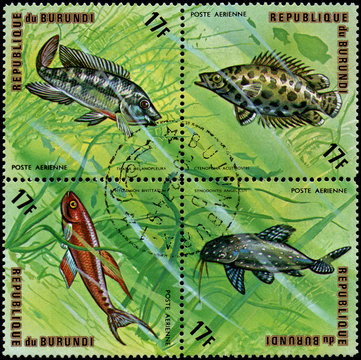REPUBLIC OF BURUNDI - CIRCA 1974: stamps, printed in Burundi, shows a fishes: Ctenopoma acutirostre, Synodontis angelicus, Tilapia melanopleura, Aphyosemion bivittatum
