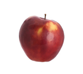 Red apple on a white background
