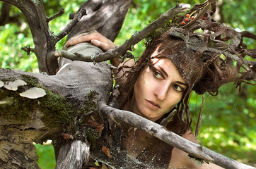 Dryad in the branches of the old dry wood