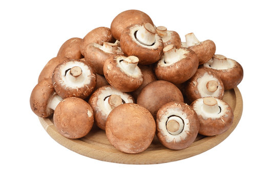 Champignon (True mushroom) on wooden board