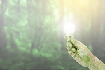 Double exposure of bulb energy power on hand with forest nature background, environment and ecology concept.