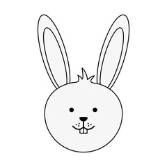 Cute bunny cartoon