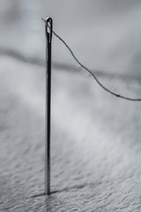 needle