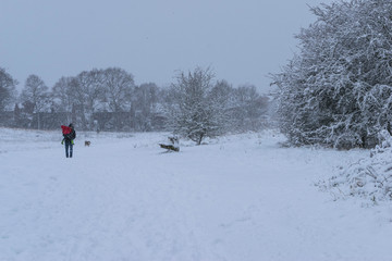 Fototapeta na wymiar Father carrying his little daughter in forest park during a heavy snowfall
