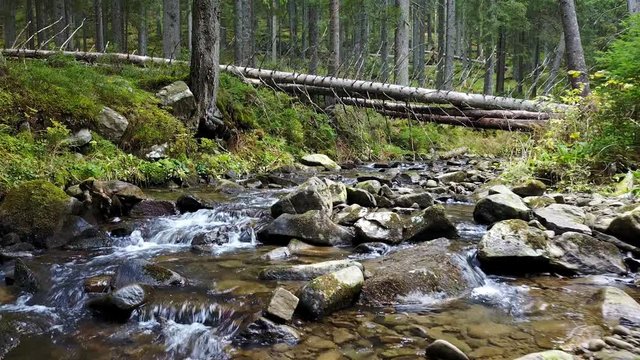 A view of a mountain stream that flows down a slope of stones with wooden logs