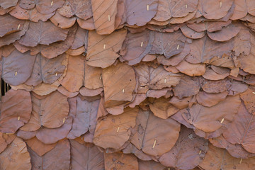 Dried leaf wall or roof texture background