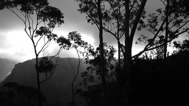 Black and white trees in the mountains and cliffs during sunset, skyline.