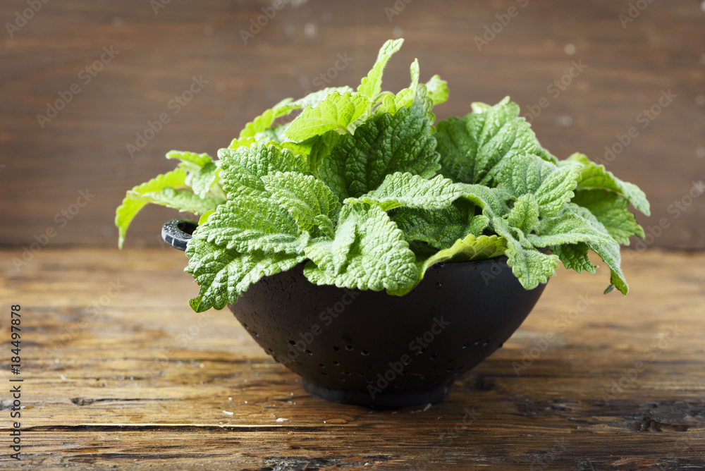 Wall mural Green fresh mint with wooden background, selective focus