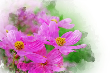 Obraz premium Beautiful pink flower blooming for background.