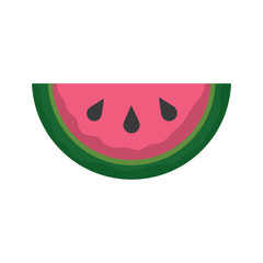 watermelon tropical fruit health nutrition food vector illustration