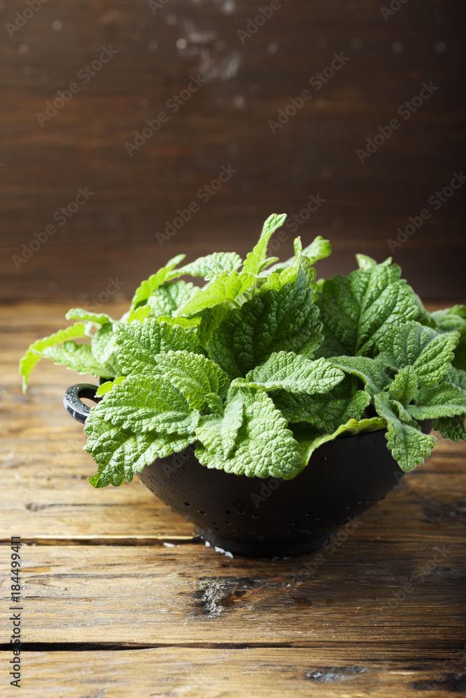 Wall mural Green fresh mint with wooden background, selective focus