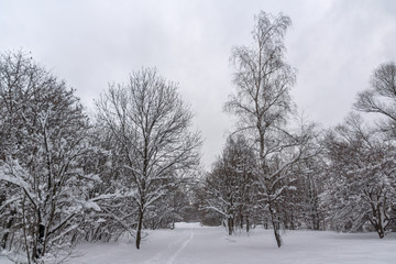 Winter Landscape with snow covered trees in South Park in city of Sofia, Bulgaria
