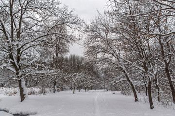 Winter Landscape with snow covered trees in South Park in city of Sofia, Bulgaria
